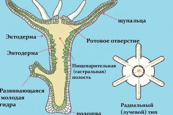 Как восстановить аккаунт кракен