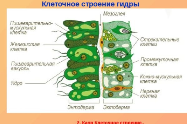 Kraken оригинальная ссылка