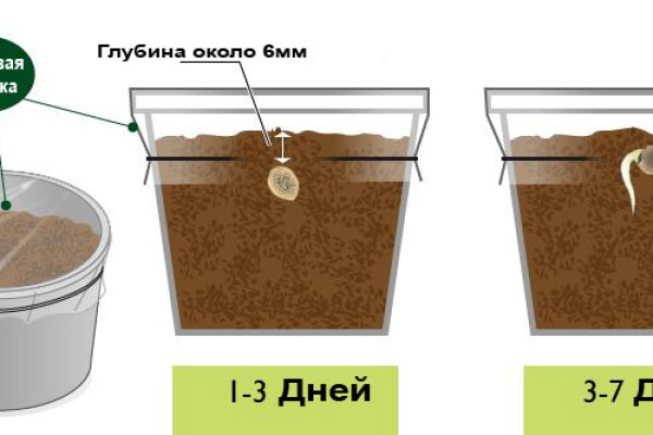 Сайт кракен 24