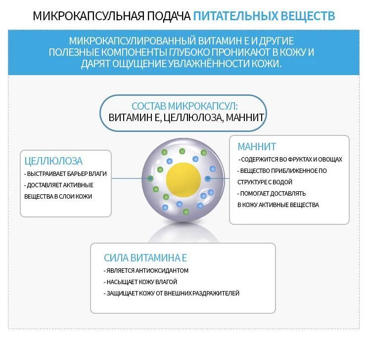 Ссылка на кракен через тор